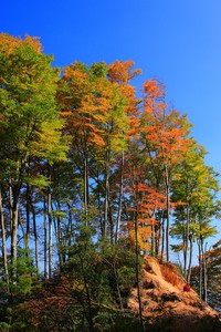 尼斯主场挑战巴黎圣日耳曼，备受瞩目！
