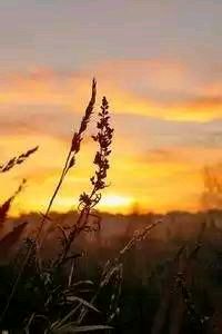 巴黎圣日耳曼豪取连胜，稳坐联赛榜首